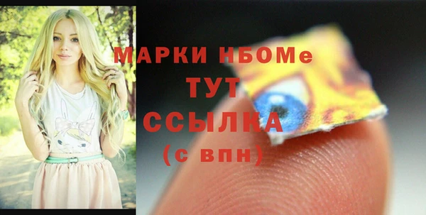 прущий лед Верея