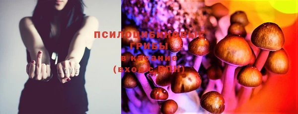 прущий лед Верея