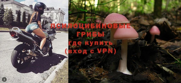 МДПВ Верхний Тагил