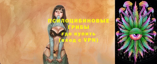прущий лед Верея